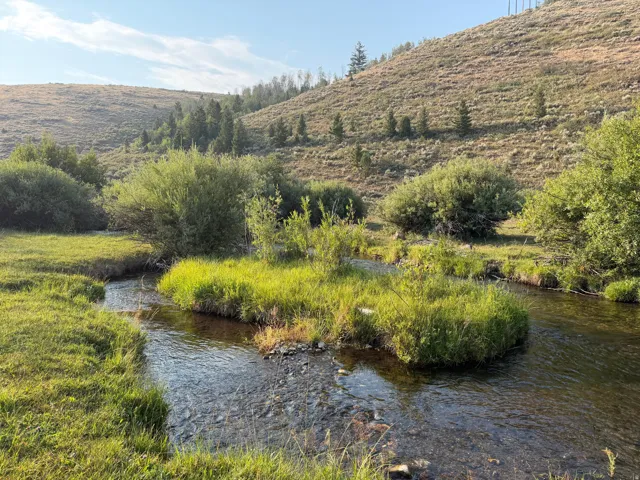 Natural creek traversing a grassy landscape, surrounded by rolling hills and diverse shrubbery