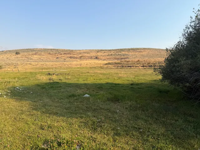 Expansive grassy terrain with a prominent sloped hill in the background