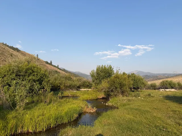 Natural creek running through a grassy field with varied foliage and distant mountains