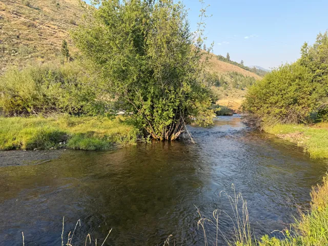 Natural water feature with surrounding vegetation and distant hillside