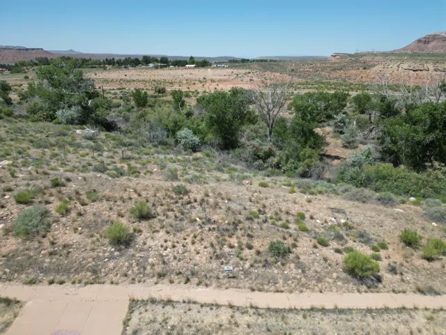 Expansive desert landscape with natural vegetation, distant red rock formations, and clear blue skies