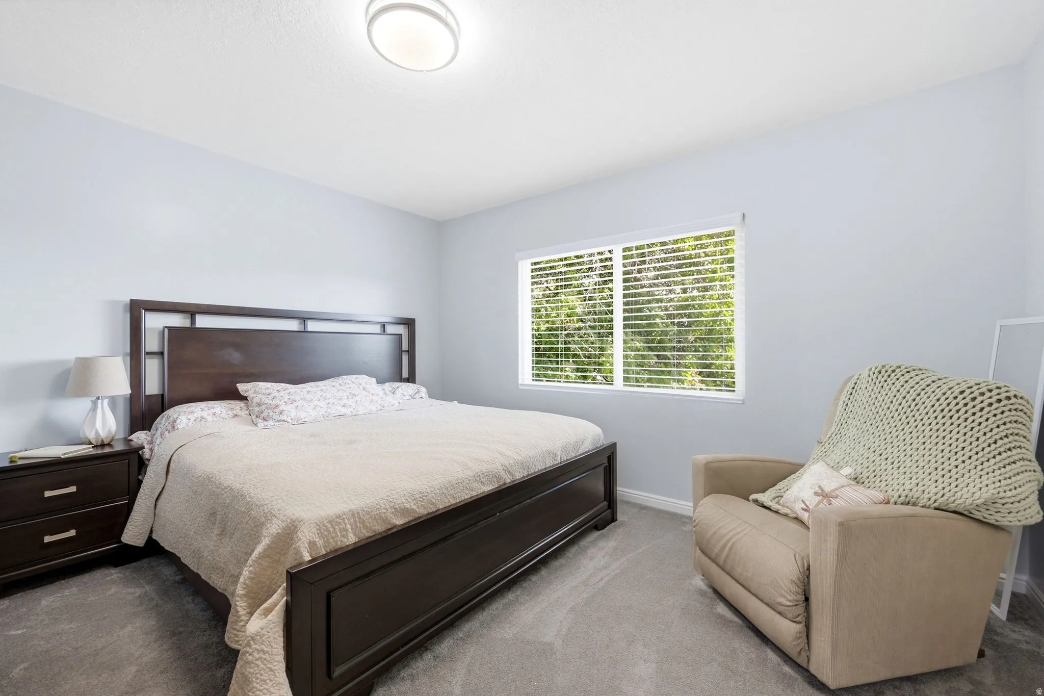 Neutral wall color, window with blinds, flush-mount ceiling light, and wall-to-wall carpeting