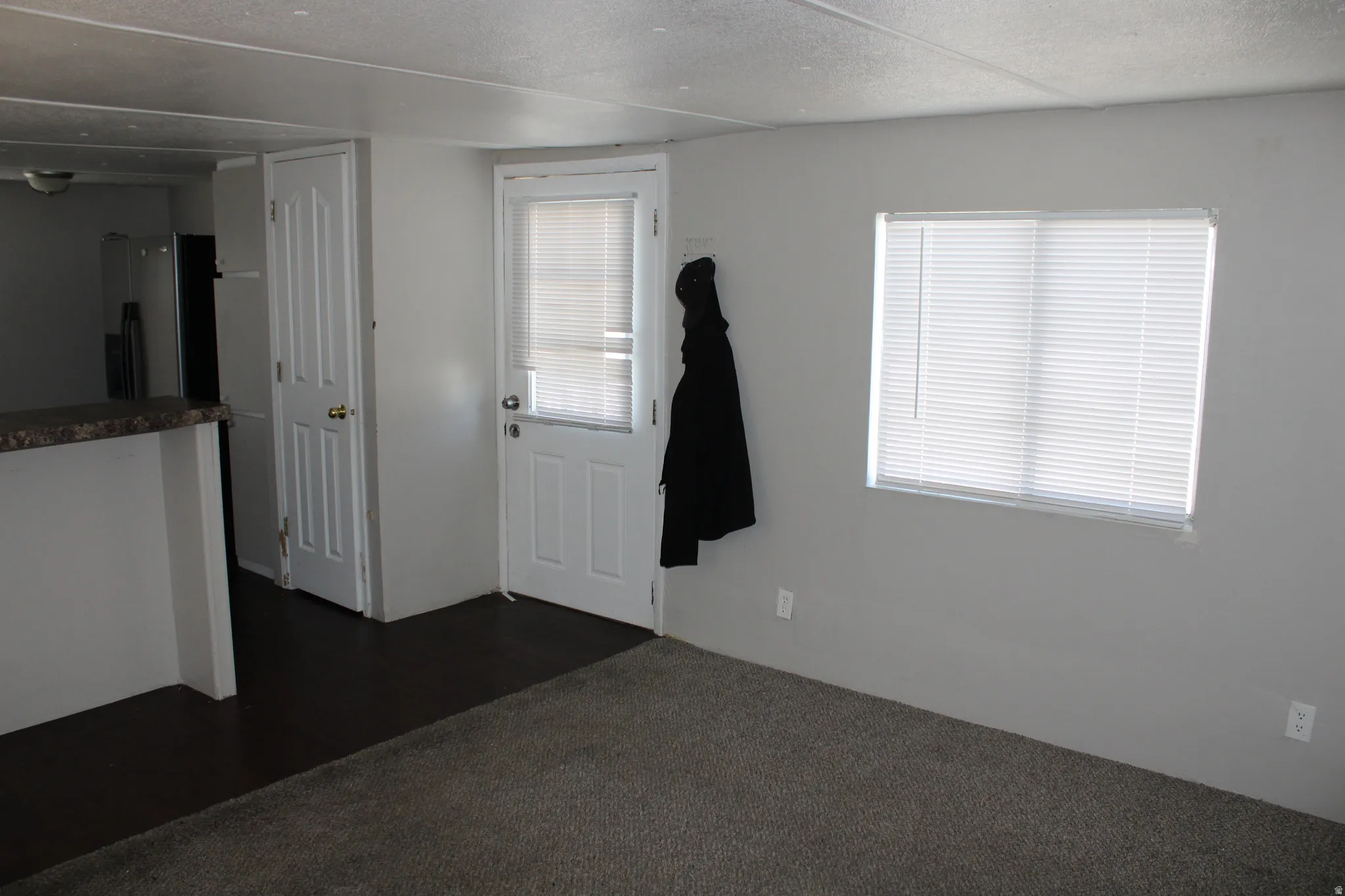 Carpeted flooring, window with blinds, interior door, exterior door with blinds, and a built-in counter