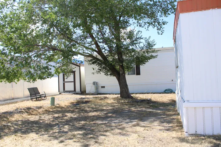 Expansive outdoor space featuring a mature shade tree, gravel path, and a shed with a paneled door