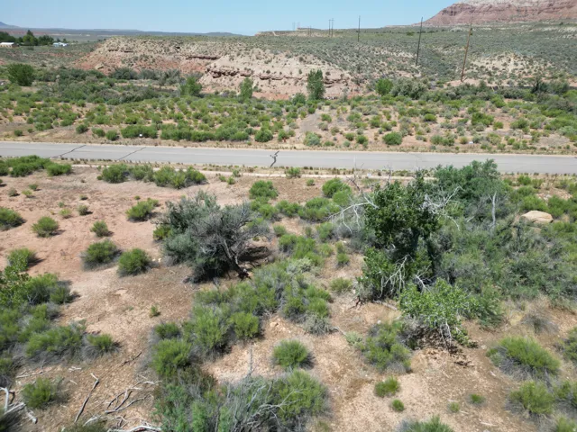 Expanse of natural terrain with varied desert flora and a distant paved road
