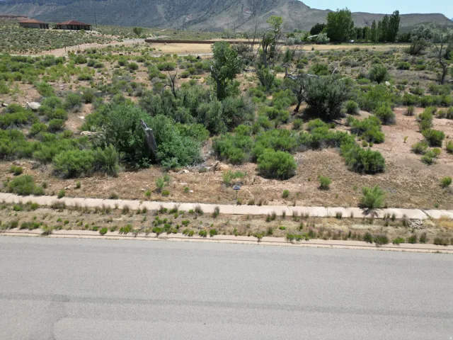 Roadside property with a concrete sidewalk and natural landscaping