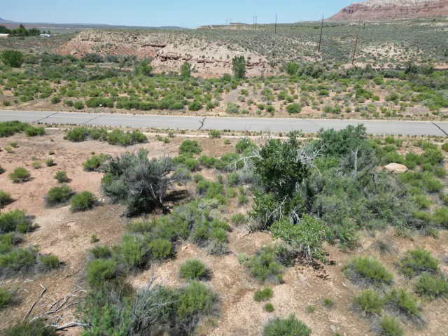 Expansive natural landscape featuring varied topography, desert flora, and a paved road