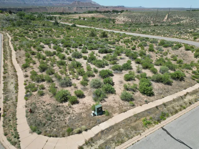 Expansive undeveloped lot with natural desert vegetation