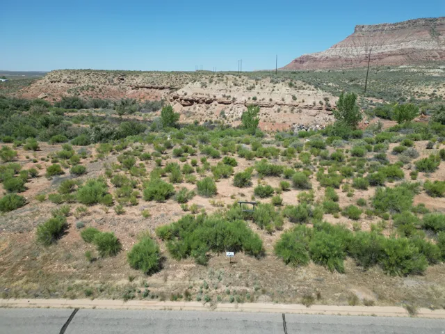 Expansive undeveloped land featuring natural desert flora and distant mesa formations