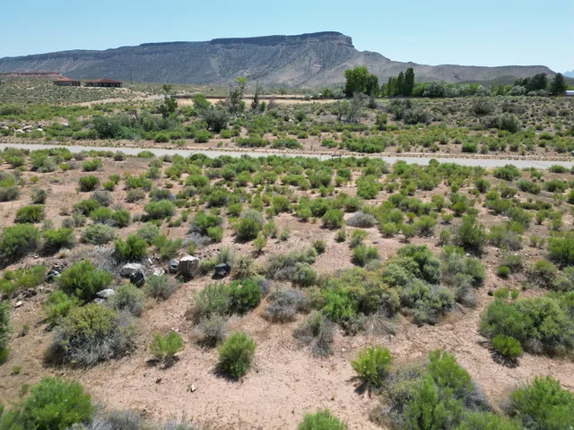 Expansive desert landscape with natural vegetation and distant mountain ranges
