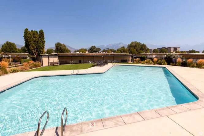 Outdoor swimming pool with concrete decking, surrounding grassy areas, and mature trees