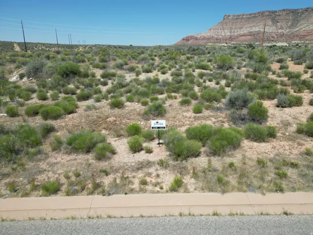 Undeveloped desert landscape featuring natural vegetation, a clear blue sky, and distant mountain formations