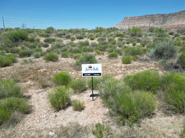Expansive natural landscape with varied shrubbery, a distant elevated landform, and clear skies