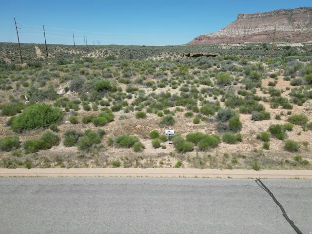 Expansive land parcel with natural vegetation, adjacent to paved roadway
