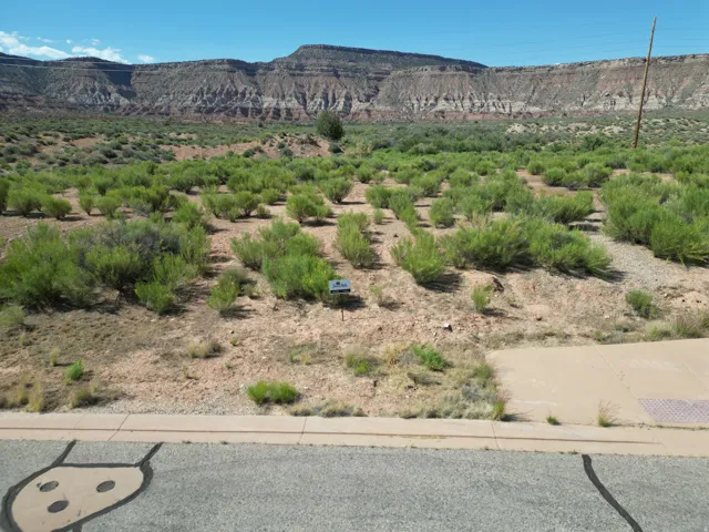 Expansive lot featuring natural desert vegetation and a distinct mountain backdrop