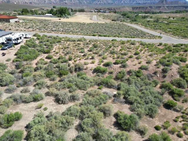 Expansive desert landscape with natural vegetation and a paved road