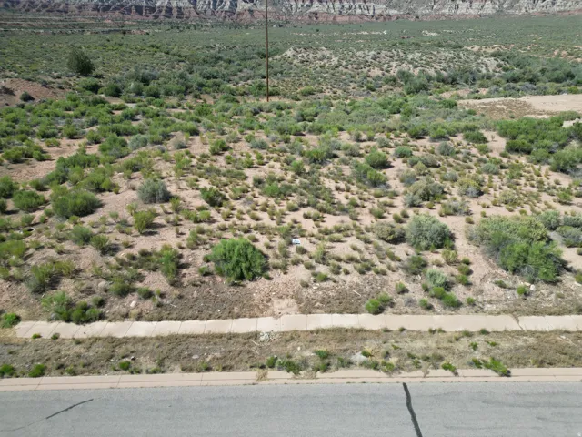 Arid landscaping with varied desert flora, a paved roadway, and concrete sidewalk
