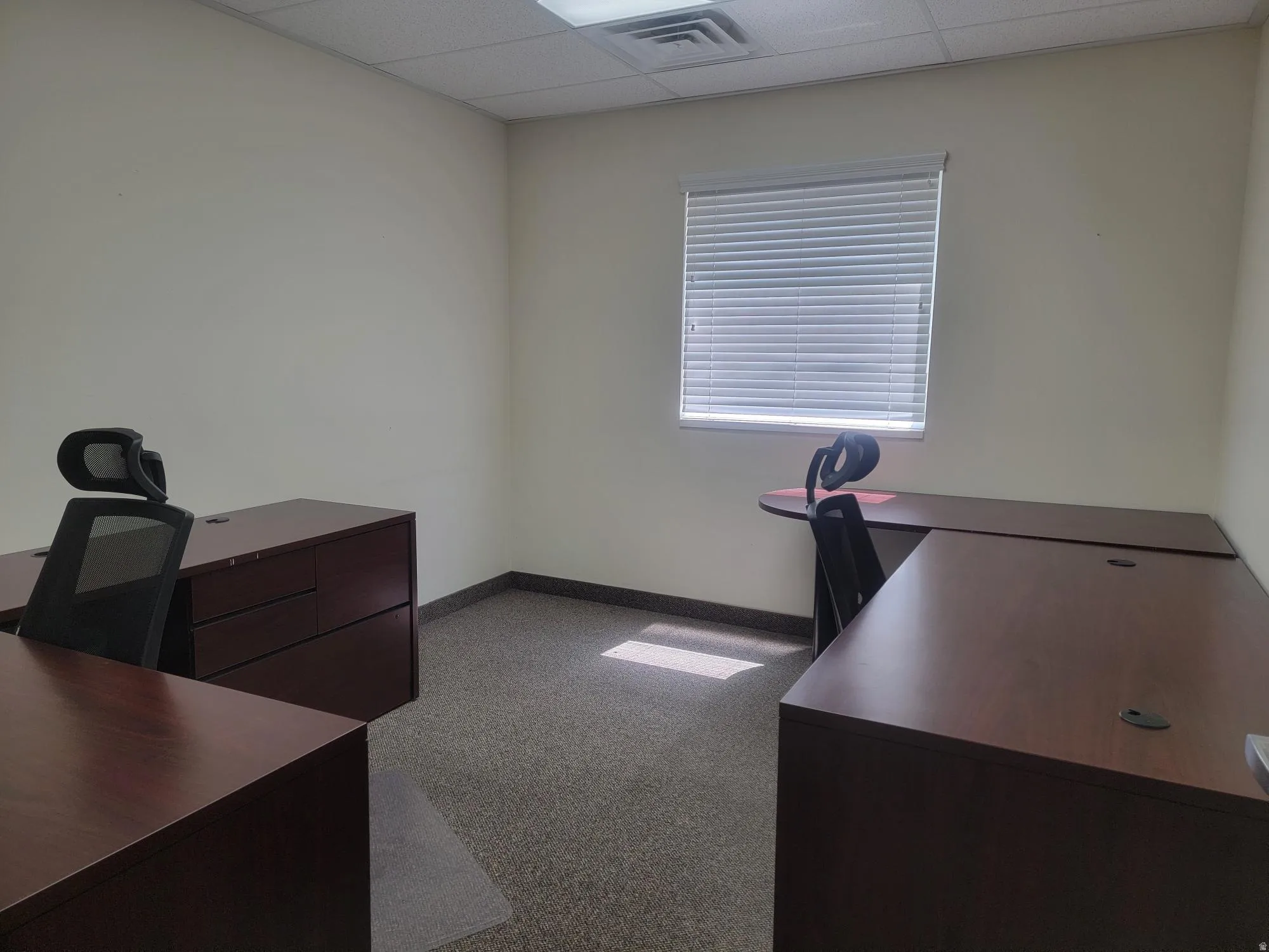 Recessed lighting, drop ceiling, window with blinds, light-colored walls, and carpeting