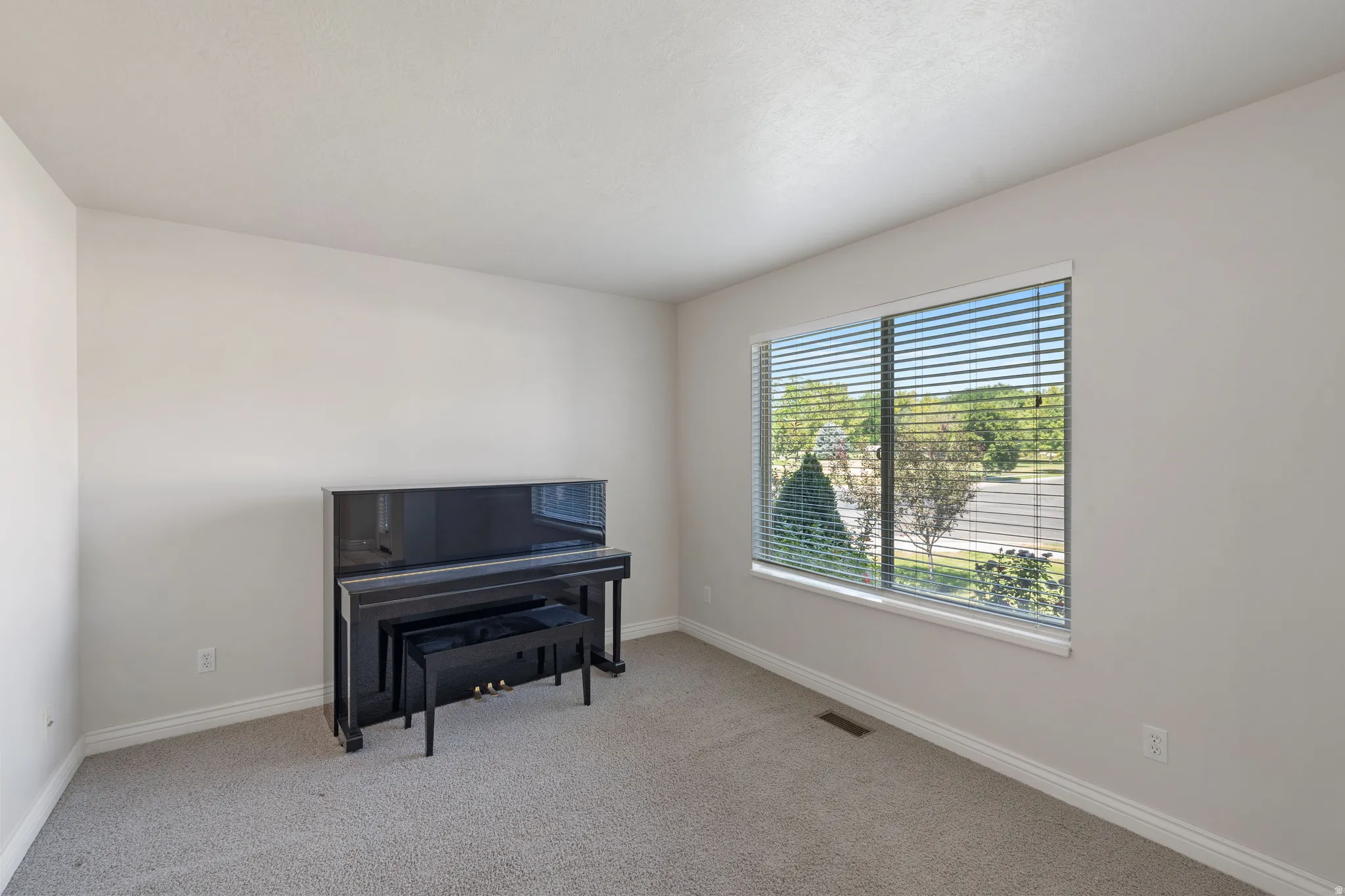 Natural light from a large window, neutral painted walls, and carpeted flooring