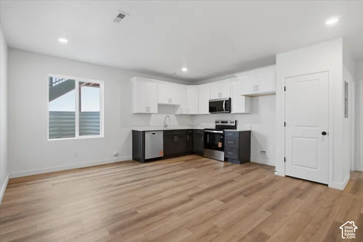 ADU kitchen with a  Deep Pantry.