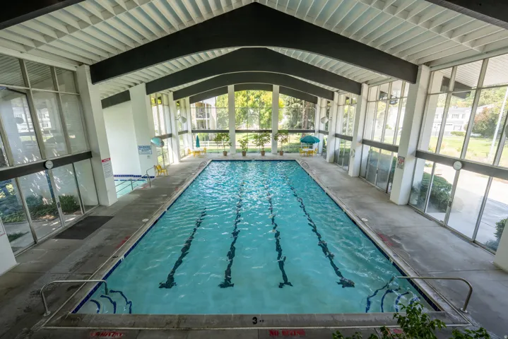 Indoor swimming pool with full-height windows, a white slatted ceiling, and exposed dark structural beams