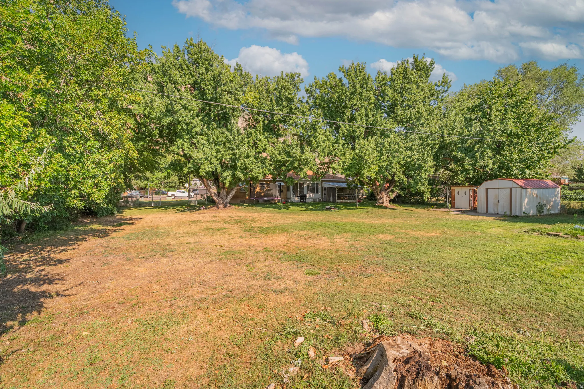 Expansive grassy yard with mature trees