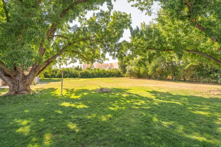 Expansive grassy yard with mature trees providing dappled shade