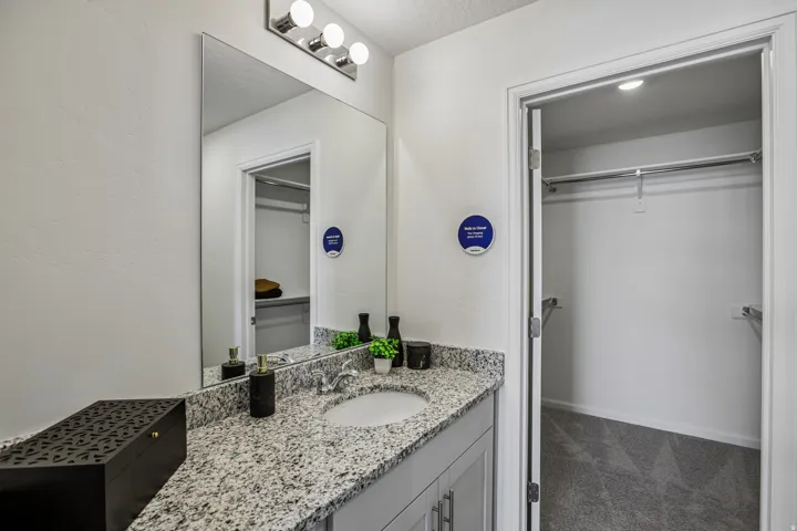 Vanity with a polished chrome light fixture, large wall mirror, and a single basin sink