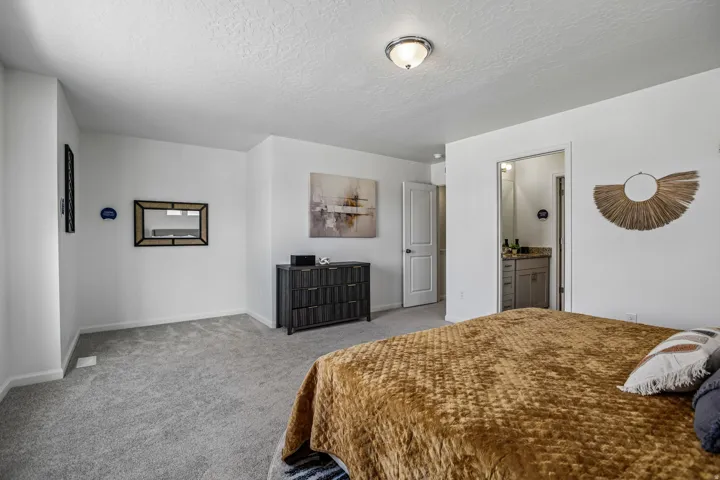 Neutral-toned carpeting, white walls, and a ceiling-mounted light fixture