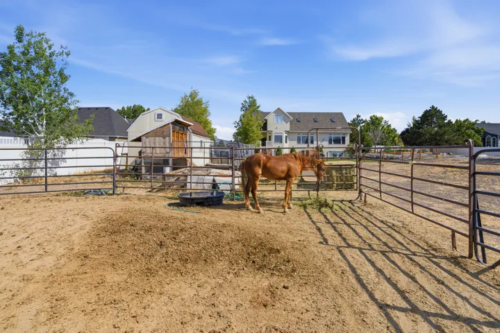 Fenced outdoor area featuring a metal gate, a storage shed, and mature trees