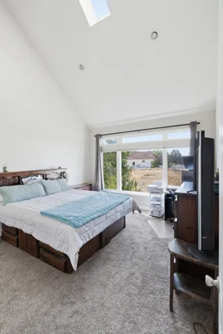 Vaulted ceiling with skylight, recessed lighting, expansive window, and gray carpeting