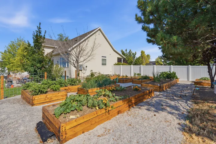 Backyard featuring multiple raised garden beds, gravel pathways, a white privacy fence, and mature trees