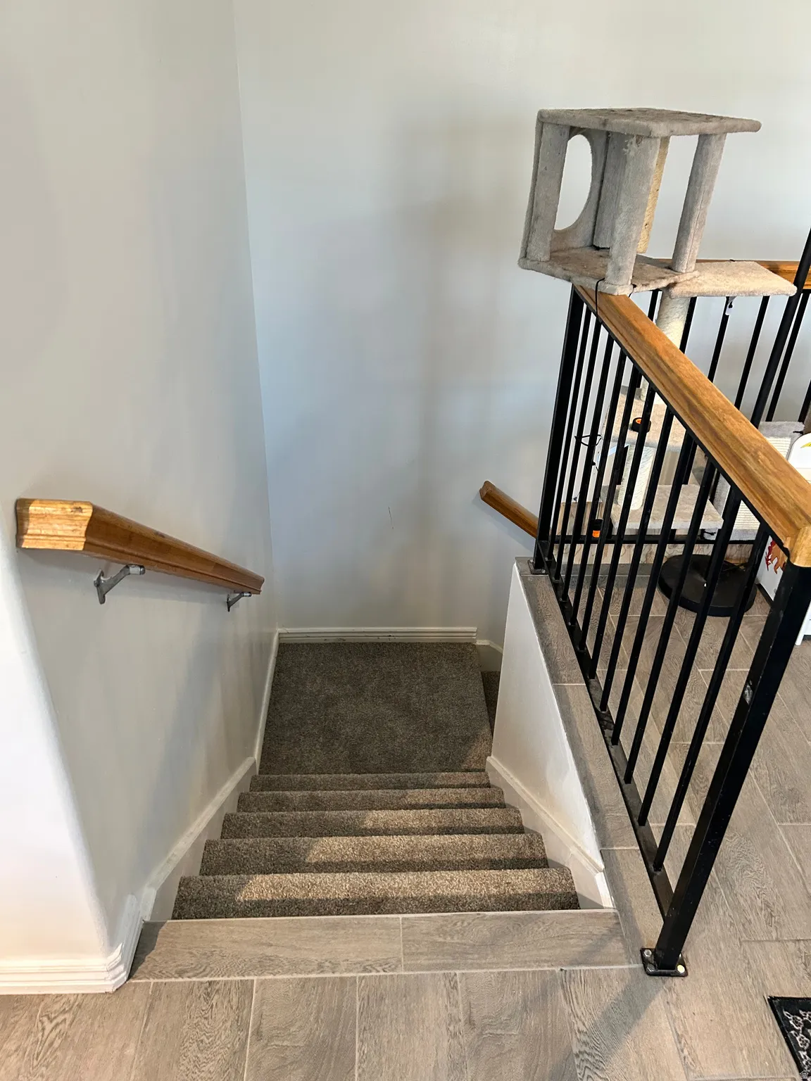 Carpeted stairs featuring a wood-finish handrail, iron-finish railing, and wood-finish flooring