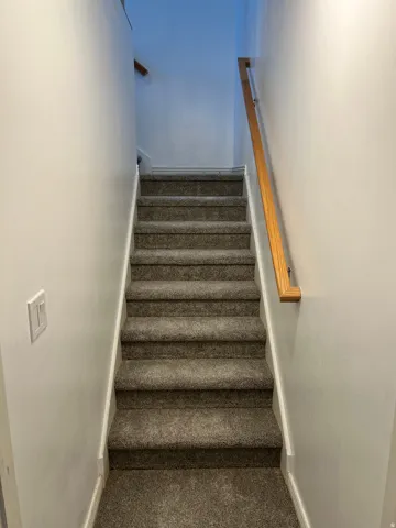 Carpeted staircase with light wood-finish handrail and light-toned walls