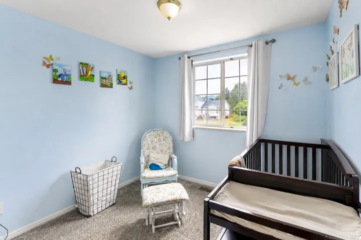 Window with exterior scenery, overhead light fixture, and wall-to-wall carpeting