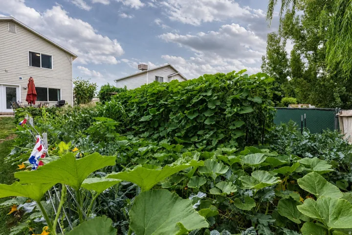 Expansive garden area featuring diverse plant growth and a wood privacy fence