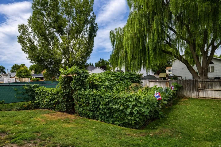 Expansive green lawn with mature trees and established garden beds