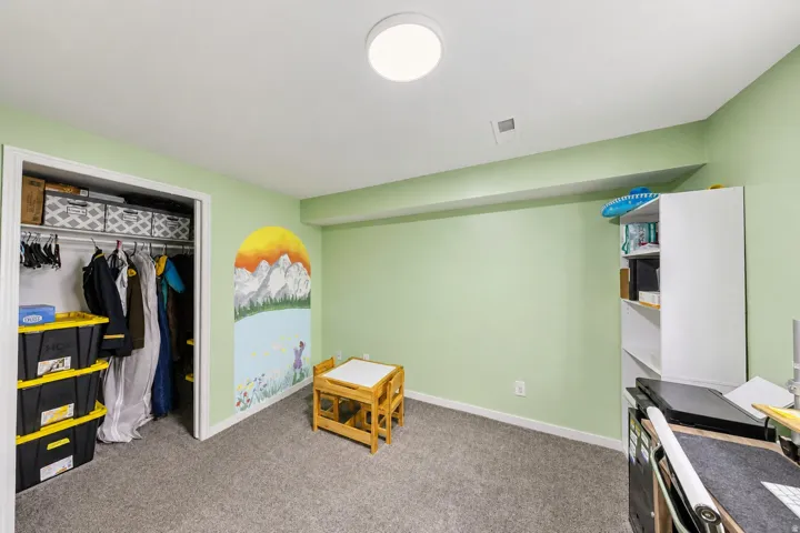 Recessed closet space with shelving, wall-to-wall carpeting, and a flush-mount ceiling light fixture