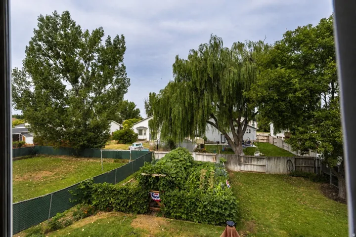 Expansive backyard featuring mature trees, a sloped green lawn, and chain-link fencing