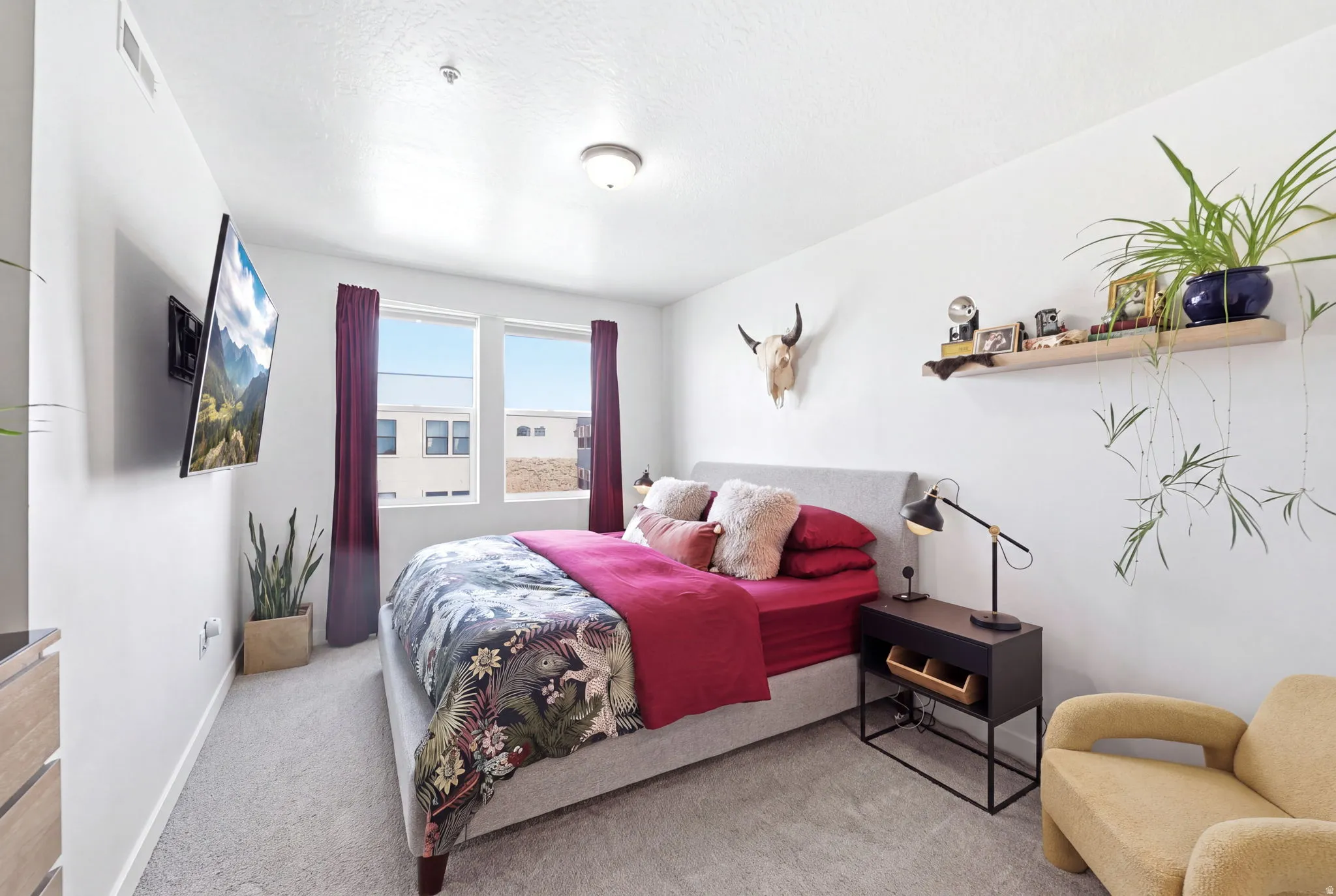 Carpeted flooring, white walls, and dual windows
