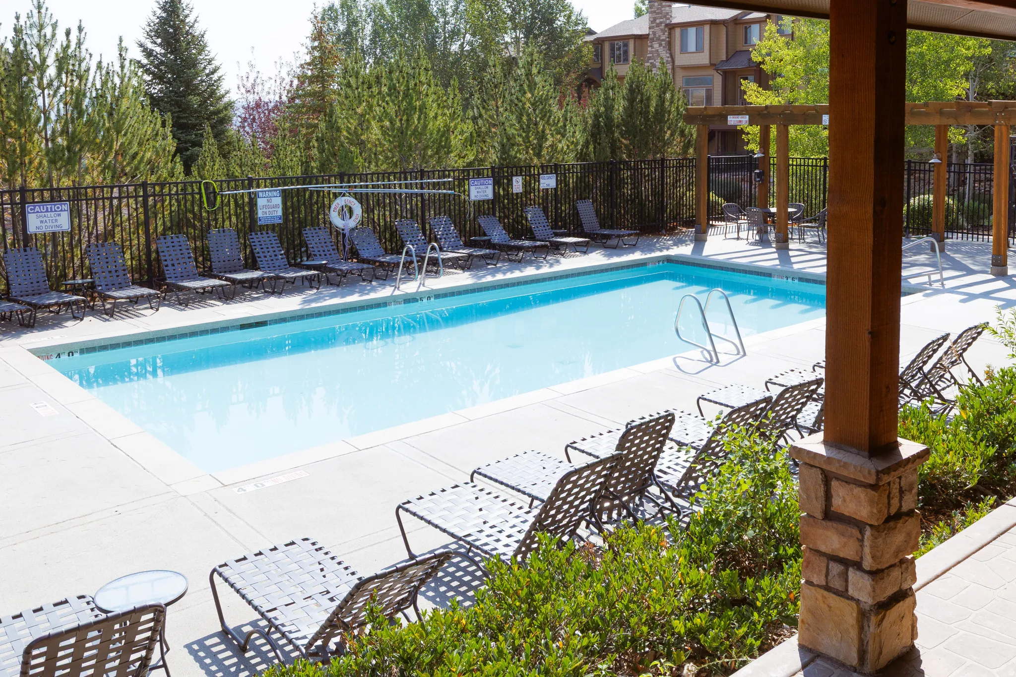 Outdoor swimming pool with concrete decking, surrounded by a metal fence and mature trees