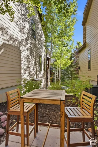 Paved patio area with surrounding lush greenery and mature trees