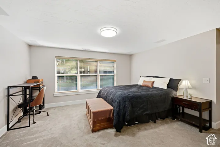 Neutral wall paint with carpet flooring, a window with blinds, and a flush-mount ceiling light