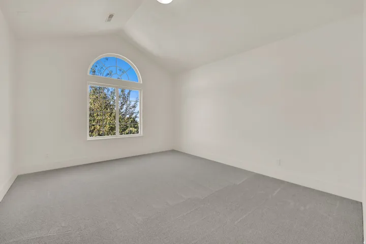 Vaulted ceiling, arched transom window, white interior walls, white trim, and gray carpet
