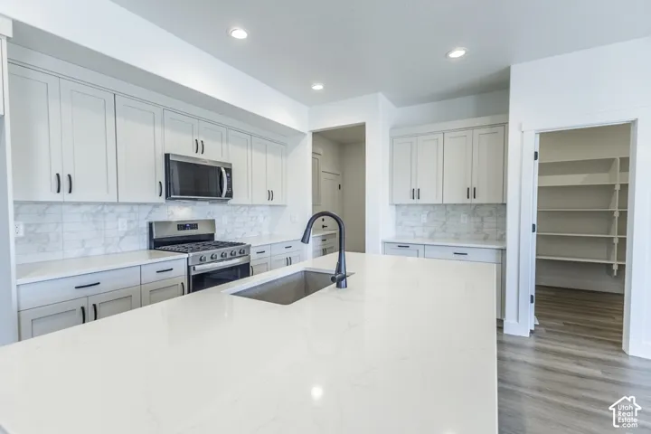 Kitchen featuring a large island with an integrated sink, white cabinetry, stainless steel appliances, a tiled backsplash, and recessed lighting