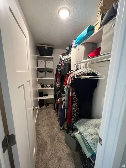 Walk-in closet featuring carpet flooring, recessed lighting, white built-in shelving, and hanging rods