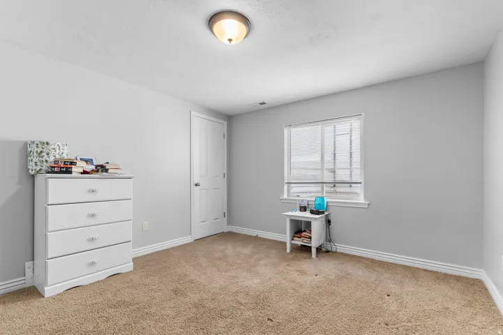 Neutral wall color, wall-to-wall carpeting, overhead flush-mount lighting, and white trim