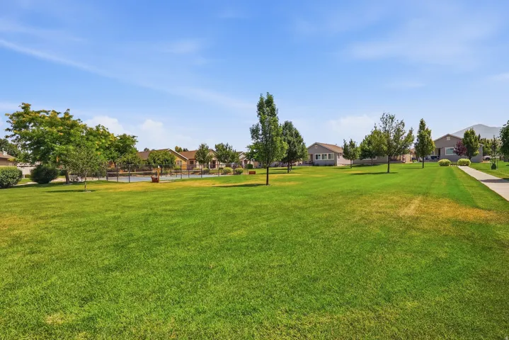 Park Behind