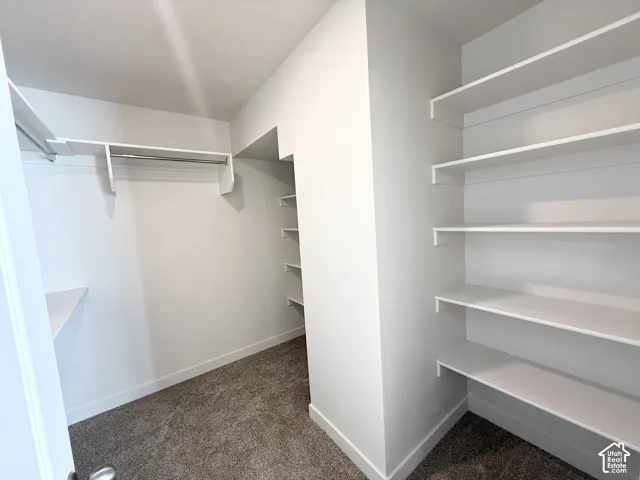 Walk-in closet featuring white built-in shelving, hanging rod, and carpet flooring