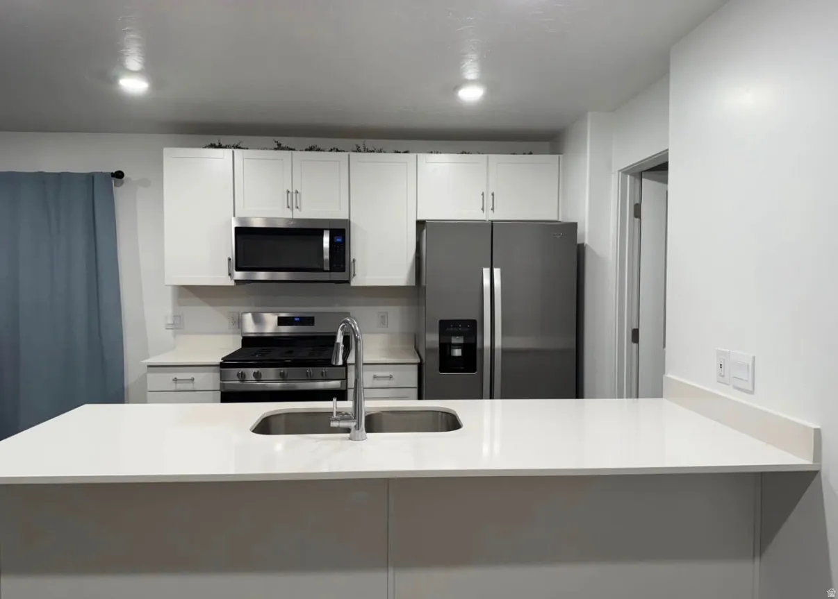 Contemporary kitchen with white cabinetry, stainless steel appliances, white countertops, and recessed lighting